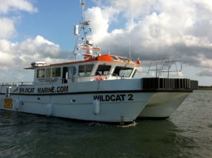 Image of Wildcat 2